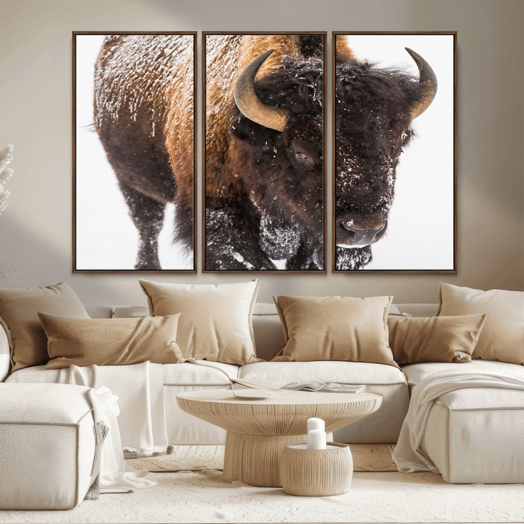 Bison Wall Art Canvas Print For Farmhouse, Wild Animal Wall Art
