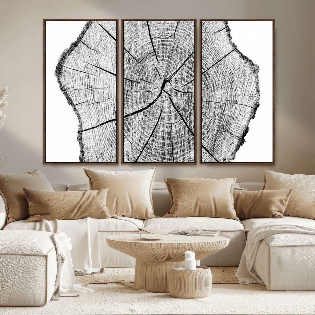 Rustic Tree Ring Wall Art Canvas Print, Framed and Ready to Hang