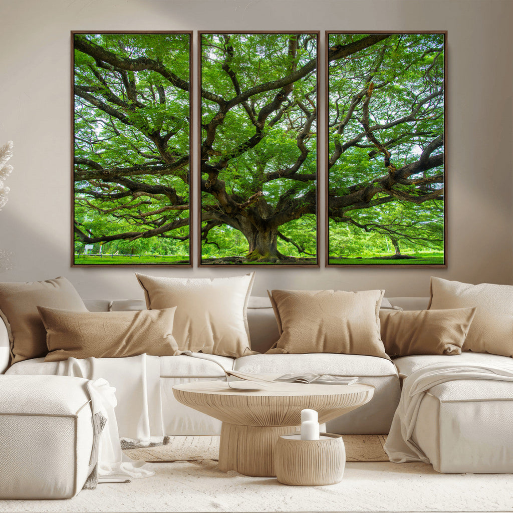 Ancient Tree Wall Art Canvas Print, Framed Sprawling Branches