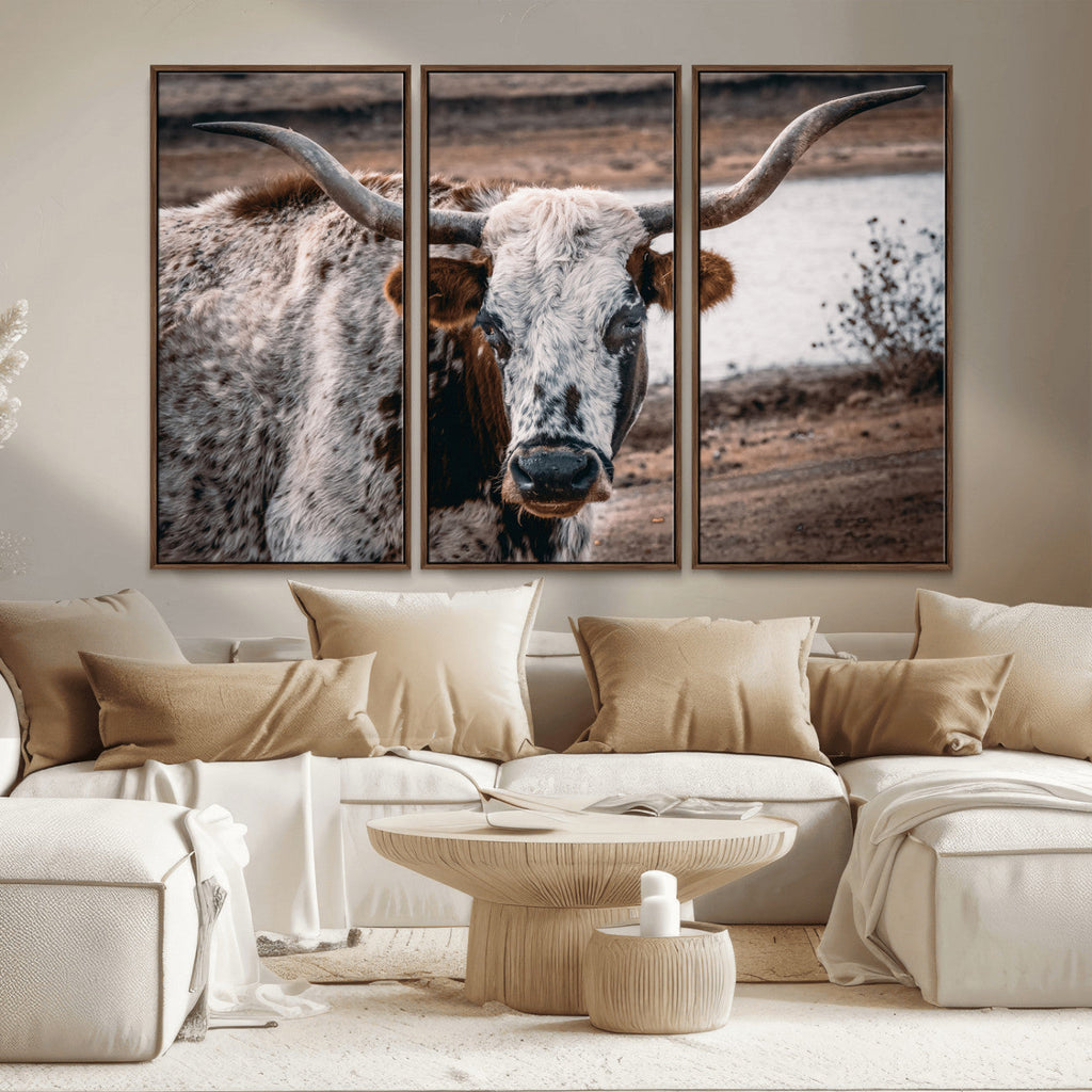 Texas Longhorn Wall Art Canvas Print | Framed Brown and White Spotted Longhorn