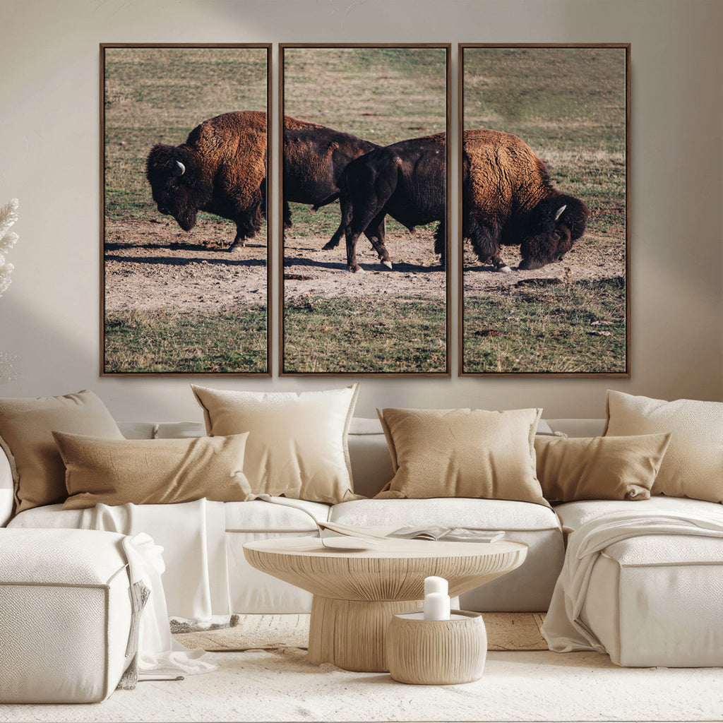 Bison Wall Art Canvas Print, Framed Western Wildlife Modern Ranch