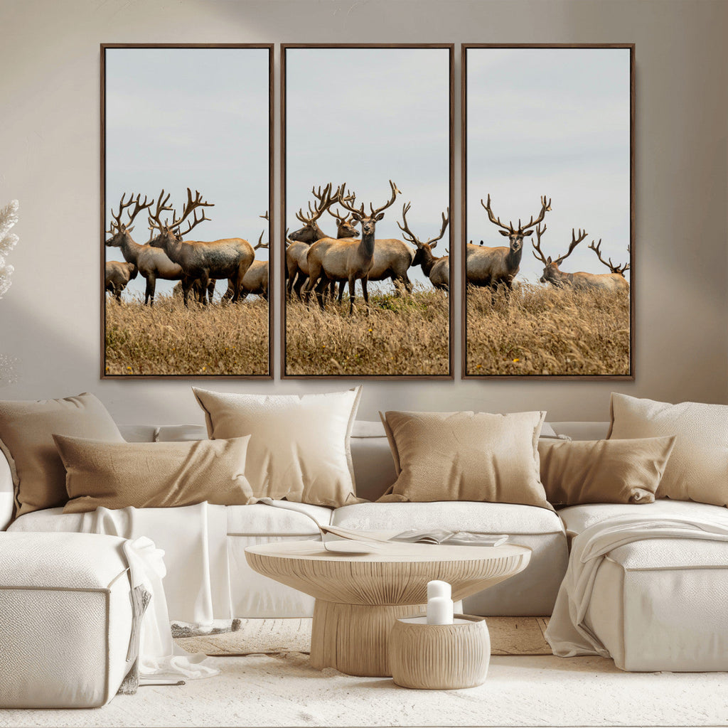 Elk Herd Wall Art Canvas Print, Framed Wildlife Photography Art, Majestic Antlers Rustic Wildlife Decor