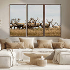 Elk Herd Wall Art Canvas Print, Framed Wildlife Photography Art, Majestic Antlers Rustic Wildlife Decor