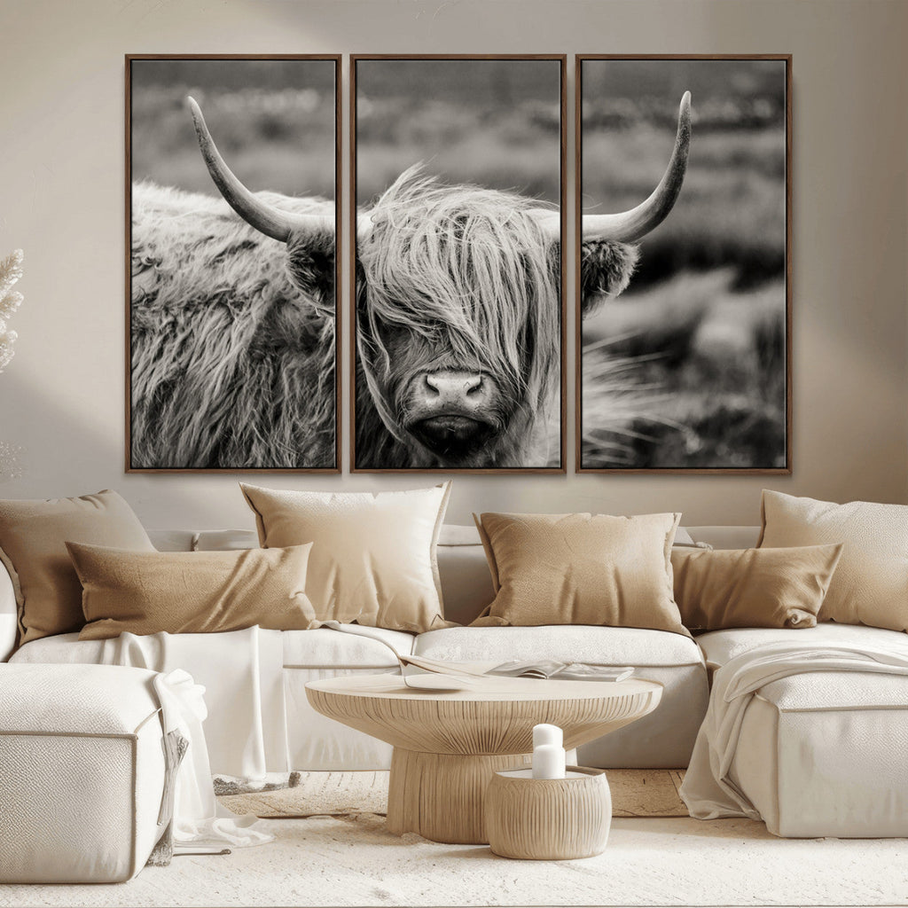 Cow Focus Canvas Wall Art Print
