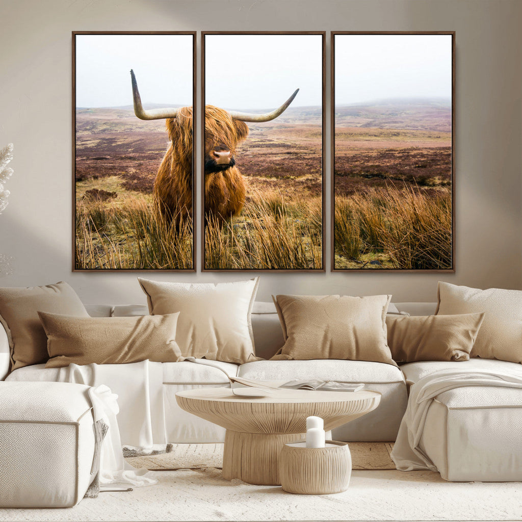 Scottish Highland Cow Canvas Wall Art, Rustic Farmhouse Decor