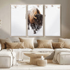 Bison Winter Wall Art Canvas Print For Farmhouse Decor