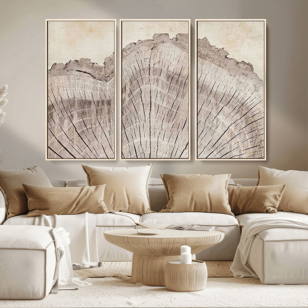 Tree Ring Wall Art Triptych, Rustic Wood Ring Canvas Print
