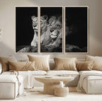 Lion Couple Wall Art Canvas Print, Elegant Black and White Wildlife Portrait