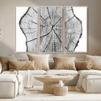 Rustic Tree Ring Wall Art Canvas Print, Framed and Ready to Hang