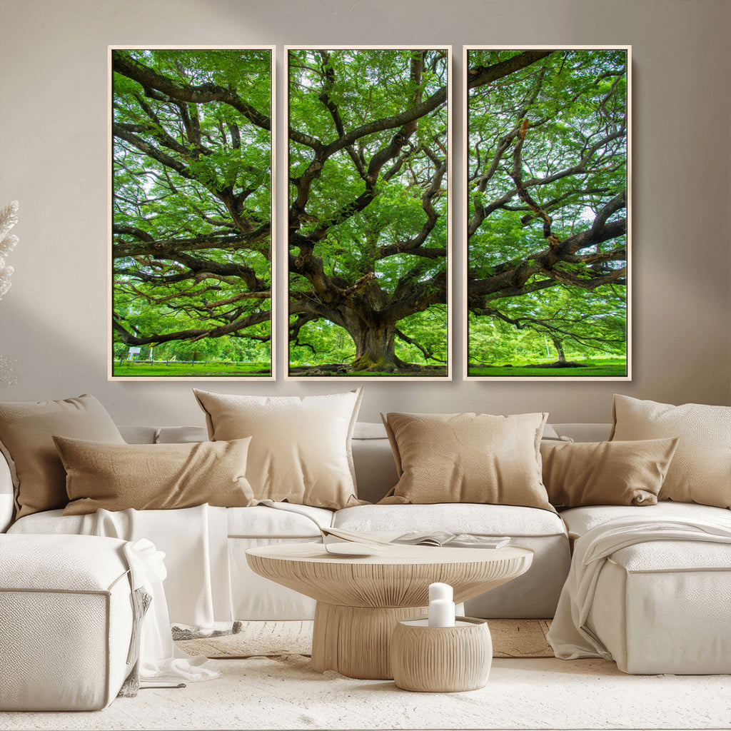 Ancient Tree Wall Art Canvas Print, Framed Sprawling Branches