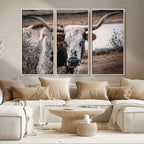 Texas Longhorn Wall Art Canvas Print | Framed Brown and White Spotted Longhorn