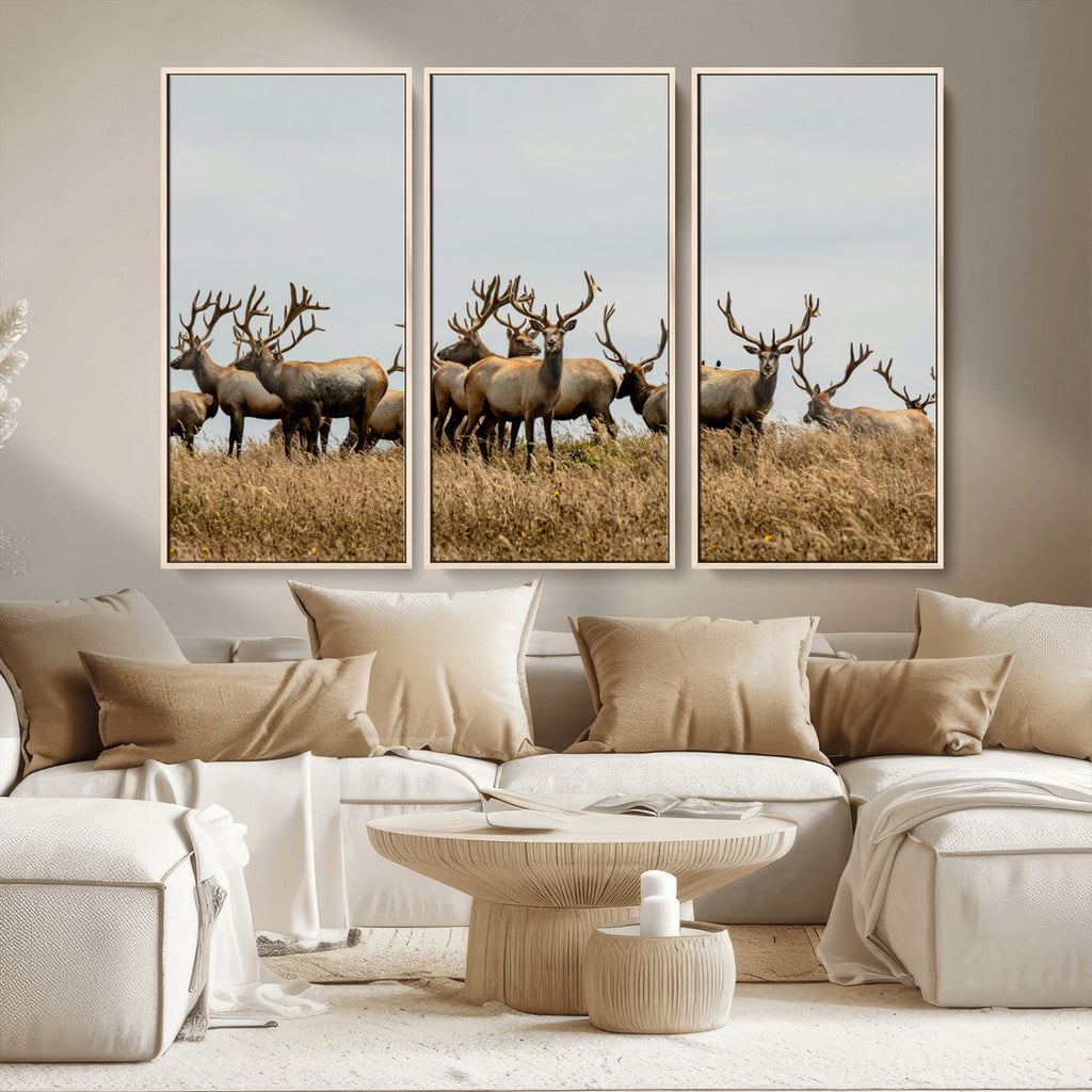 Elk Herd Wall Art Canvas Print, Framed Wildlife Photography Art, Majestic Antlers Rustic Wildlife Decor