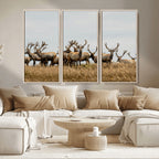 Elk Herd Wall Art Canvas Print, Framed Wildlife Photography Art, Majestic Antlers Rustic Wildlife Decor