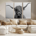 Texas Cow Wall Art Canvas, Texas Longhorn Cattle Canvas Print
