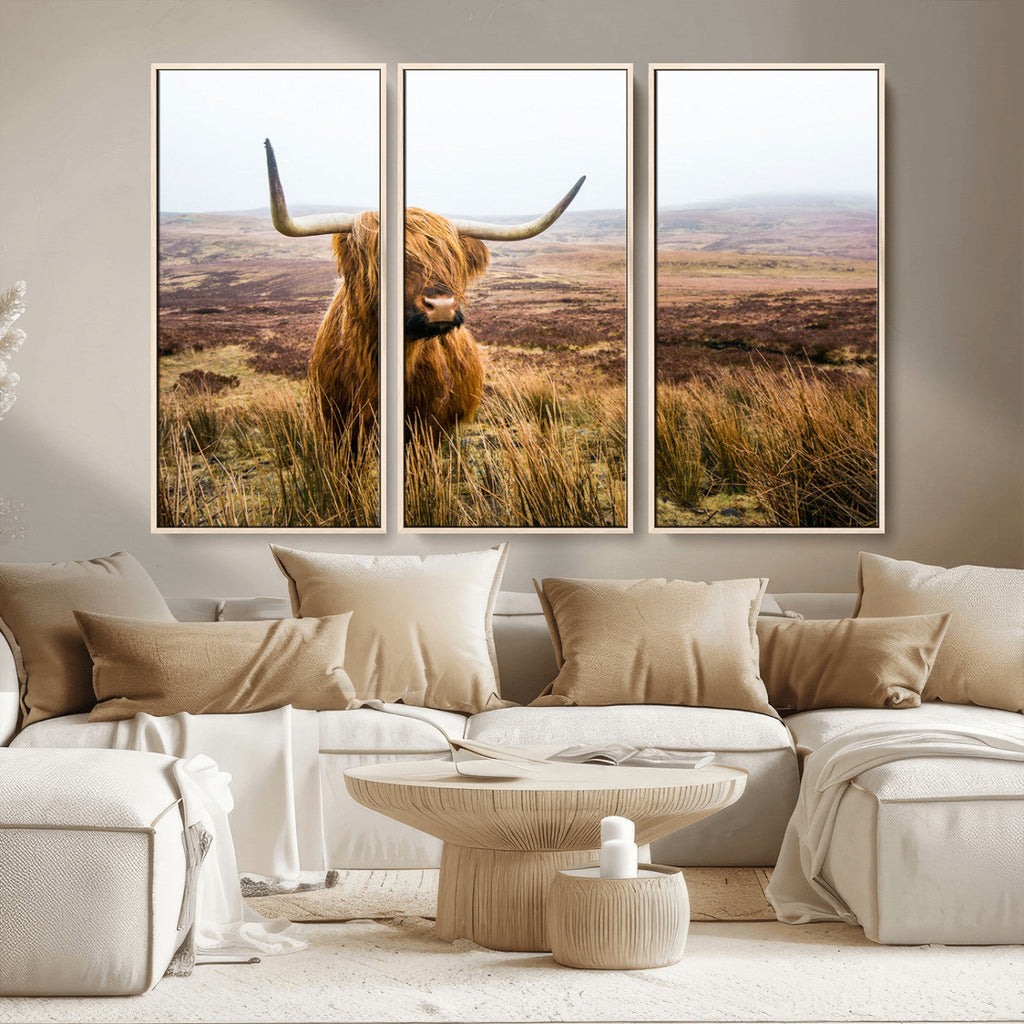 Scottish Highland Cow Canvas Wall Art, Rustic Farmhouse Decor