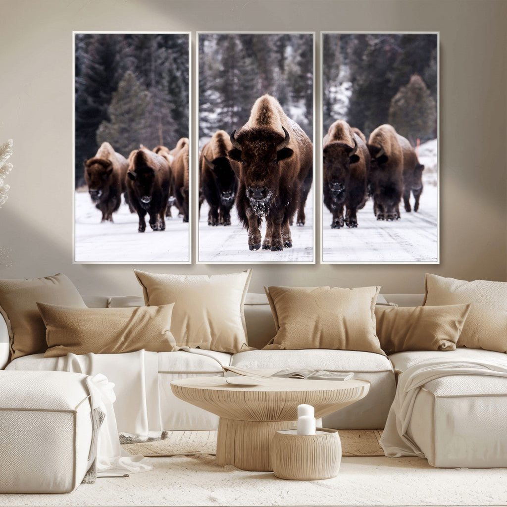 Bison Wall Art Canvas Print, Bison Herd Canvas Wall Art