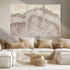 Tree Ring Wall Art Triptych, Rustic Wood Ring Canvas Print