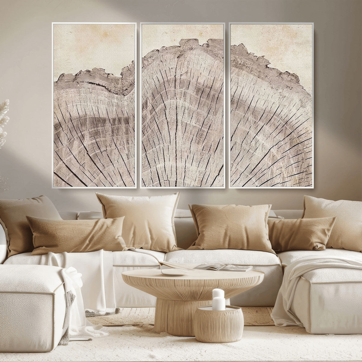 Tree Ring Wall Art Triptych, Rustic Wood Ring Canvas Print