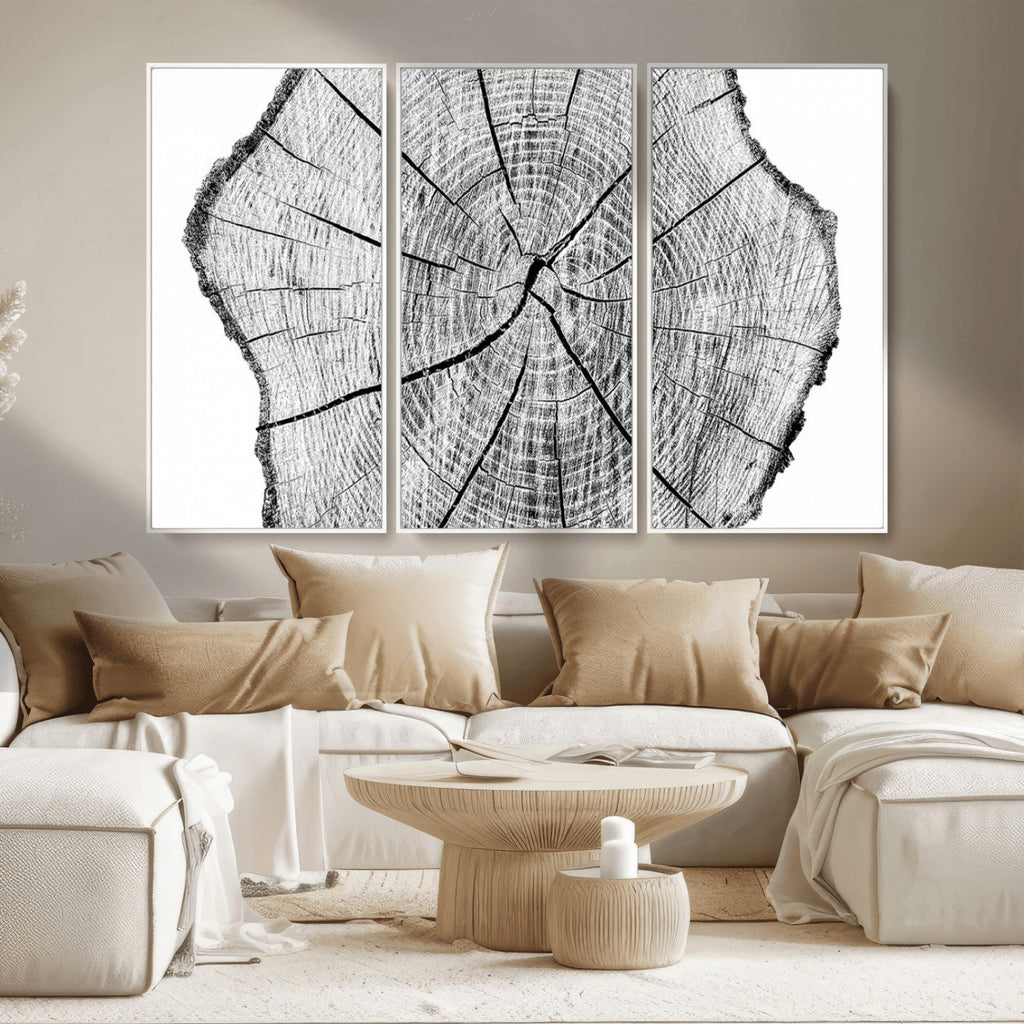 Rustic Tree Ring Wall Art Canvas Print, Framed and Ready to Hang