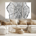 Rustic Tree Ring Wall Art Canvas Print, Framed and Ready to Hang