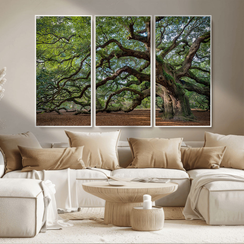 Historic Tree Wall Art | Framed Mossy Branch Canvas Artwork