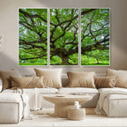 Ancient Tree Wall Art Canvas Print, Framed Sprawling Branches