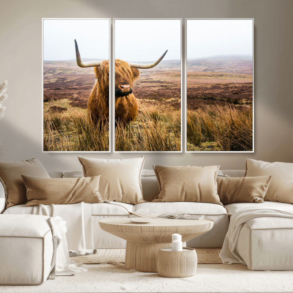Scottish Highland Cow Canvas Wall Art, Rustic Farmhouse Decor