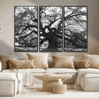 Ancient Oak Wall Art Canvas Print | Gnarled Tree with Twisted Branches