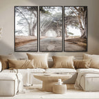 Cypress Tunnel Wall Art | Framed Misty Road Canvas Artwork