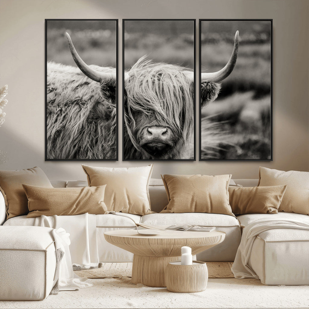 Cow Focus Canvas Wall Art Print