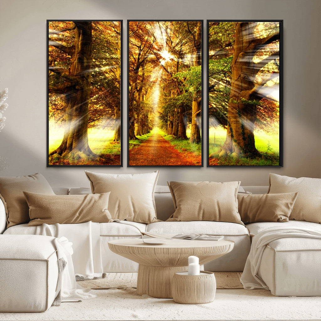 Sunshine in Forest and Trees Wall Art Canvas Print