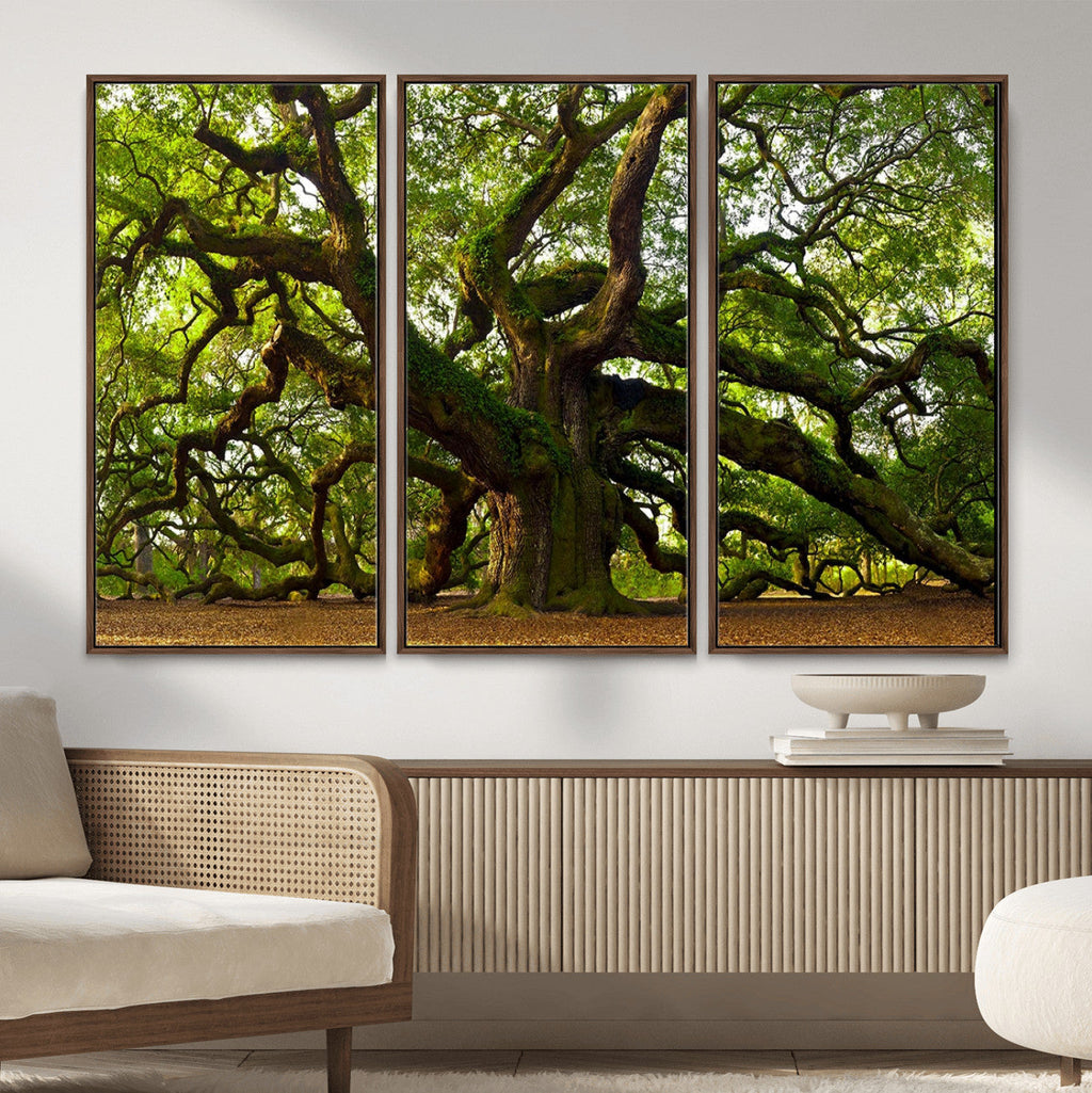 Angel Oak Tree Wall Art Canvas Print | Forest Tree Nature Photography Print