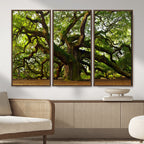 Angel Oak Tree Wall Art Canvas Print | Forest Tree Nature Photography Print