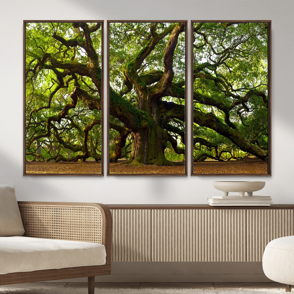 Angel Oak Tree Wall Art Canvas Print | Forest Tree Nature Photography Print