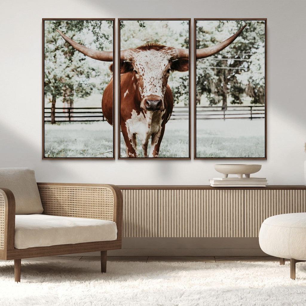 Texas Longhorn Wall Art Canvas Print | Framed Spotted Brown and White Bull