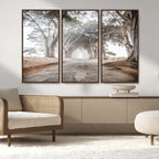 Cypress Tunnel Wall Art | Framed Misty Road Canvas Artwork
