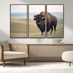 Bison Wall Art Canvas Print, Framed American Buffalo Rustic Western Artwork