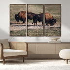 Bison Wall Art Canvas Print, Framed Western Wildlife Modern Ranch