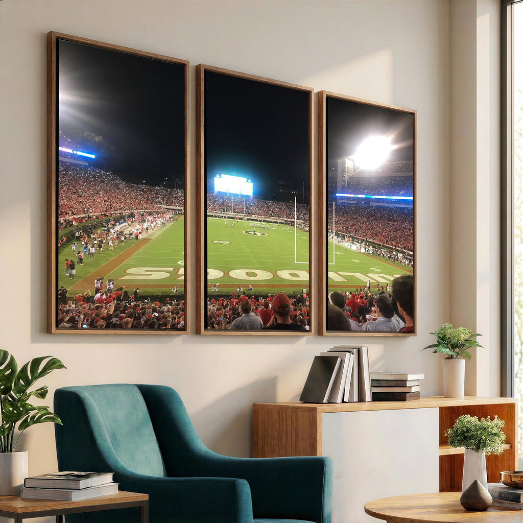 Dooley Stadium Wall Art, Sports Arena Panoramic Canvas