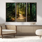 Sunlit Forest Pathway Canvas Print | 3 Panel Large Nature Wall Art