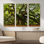 Angel Oak Tree Wall Art Canvas Print | Forest Tree Nature Photography Print