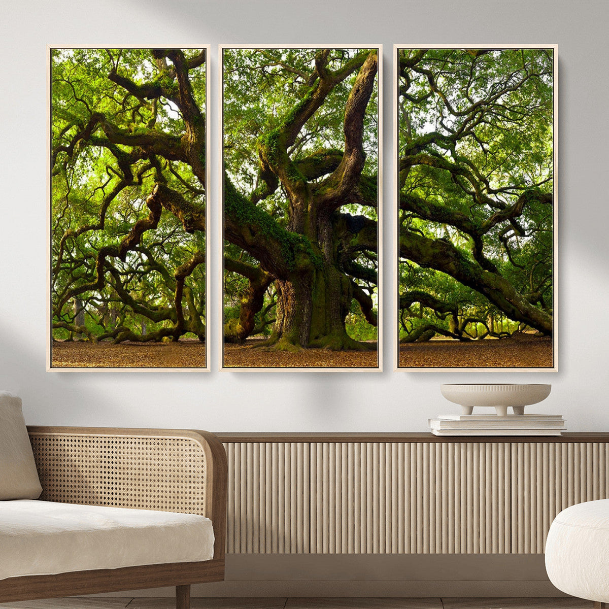 Angel Oak Tree Wall Art Canvas Print | Forest Tree Nature Photography Print