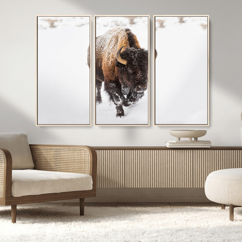 Bison Winter Wall Art Canvas Print For Farmhouse Decor