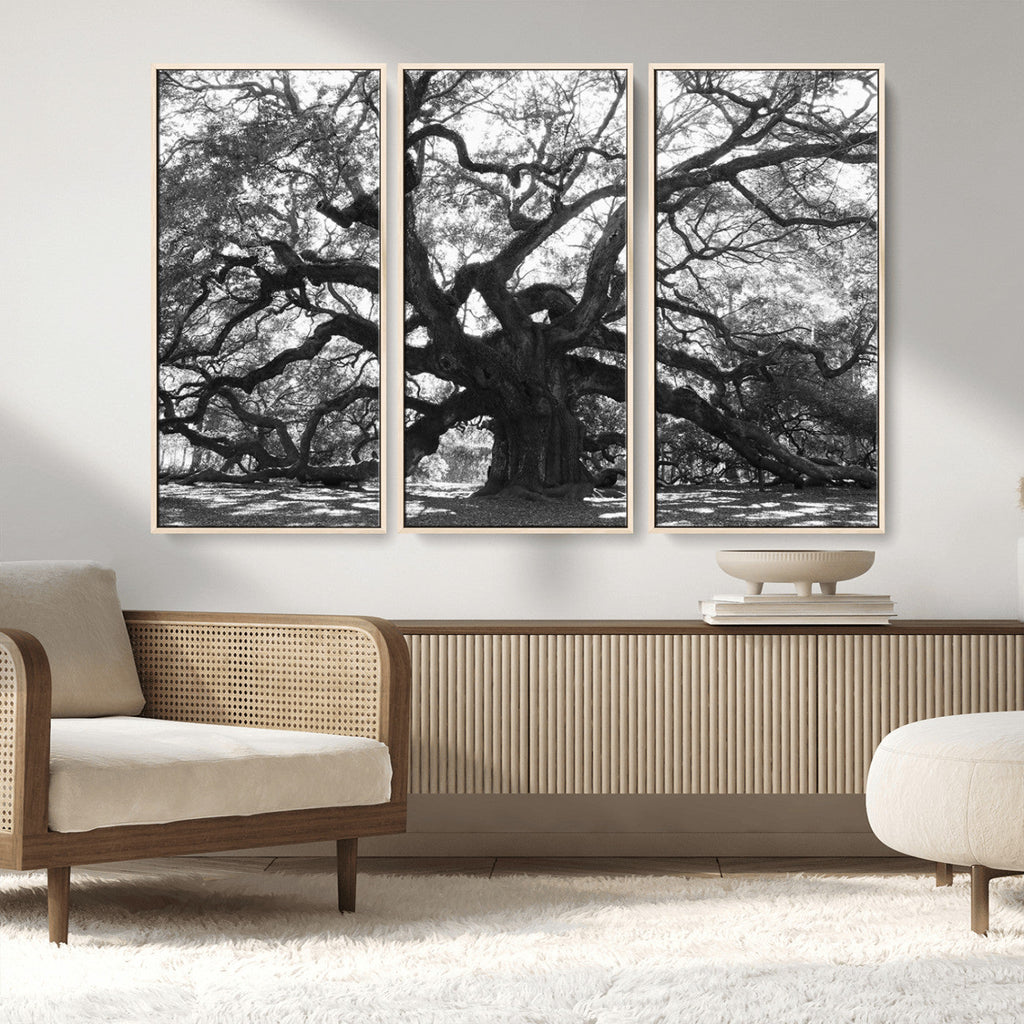 Ancient Oak Wall Art Canvas Print | Gnarled Tree with Twisted Branches