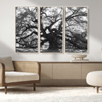 Ancient Oak Wall Art Canvas Print | Gnarled Tree with Twisted Branches