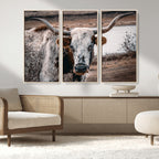 Texas Longhorn Wall Art Canvas Print | Framed Brown and White Spotted Longhorn
