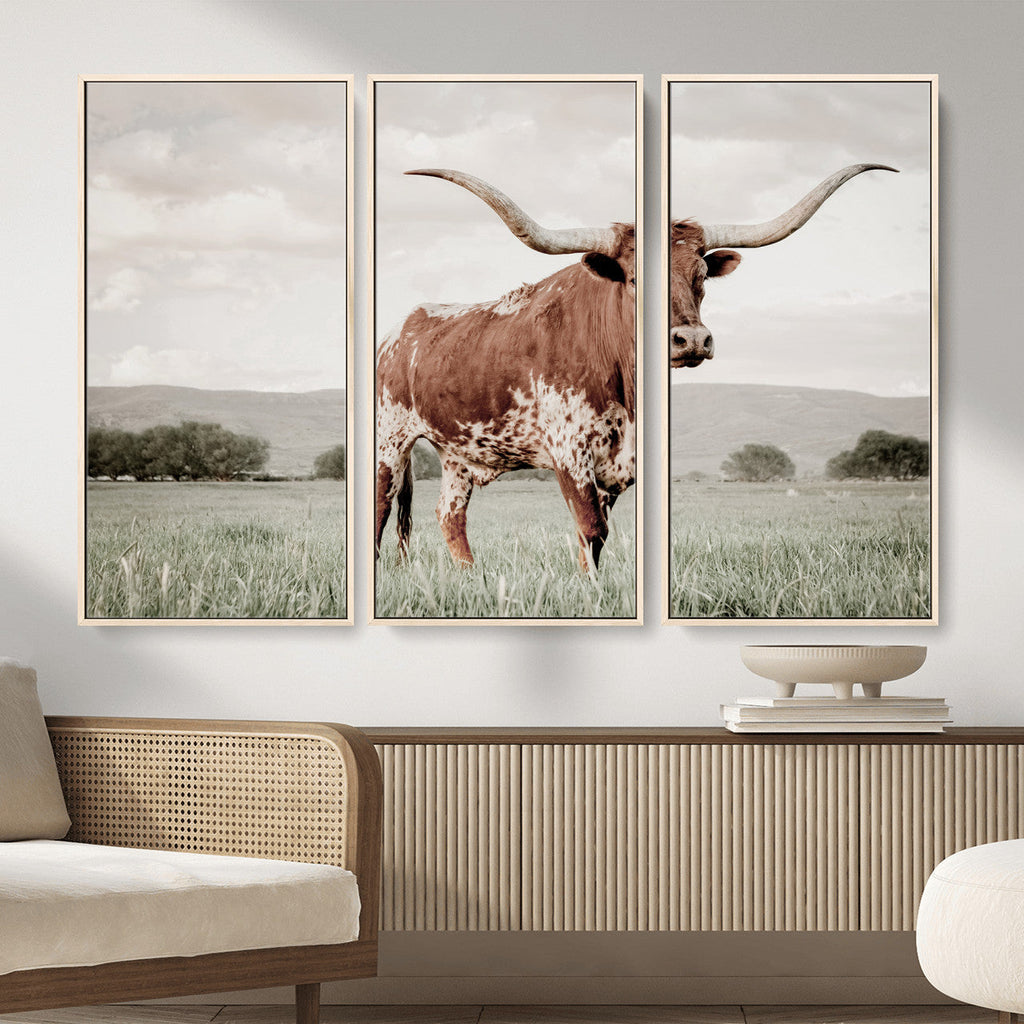 Texas Longhorn Wall Art | Framed Spotted Cattle Canvas