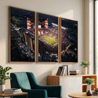 Oklahoma Memorial Stadium, Gaylord Memorial Stadium Wall Art