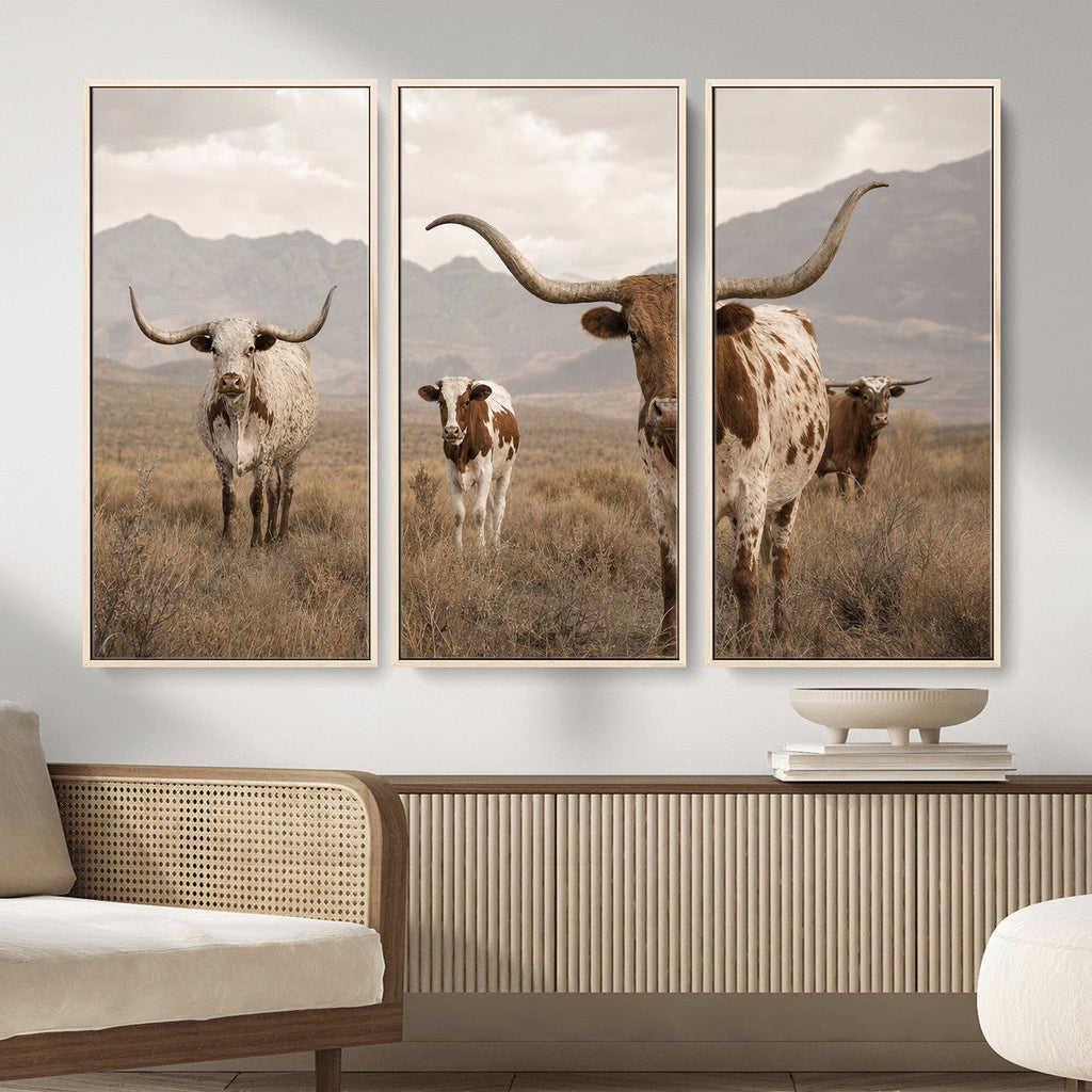Rustic Texas Longhorn Cow Canvas Wall Art Print, Farm Animal Photography
