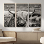 Cow Focus Canvas Wall Art Print